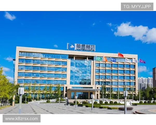 凯发集团手机版下载官网加强安全措施，保障玩家个人信息与资金安全稳定运行